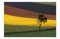 LandschaftA01